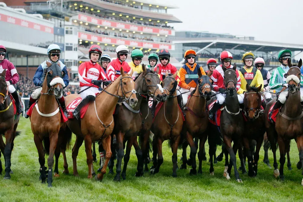 Newbury races hospitality