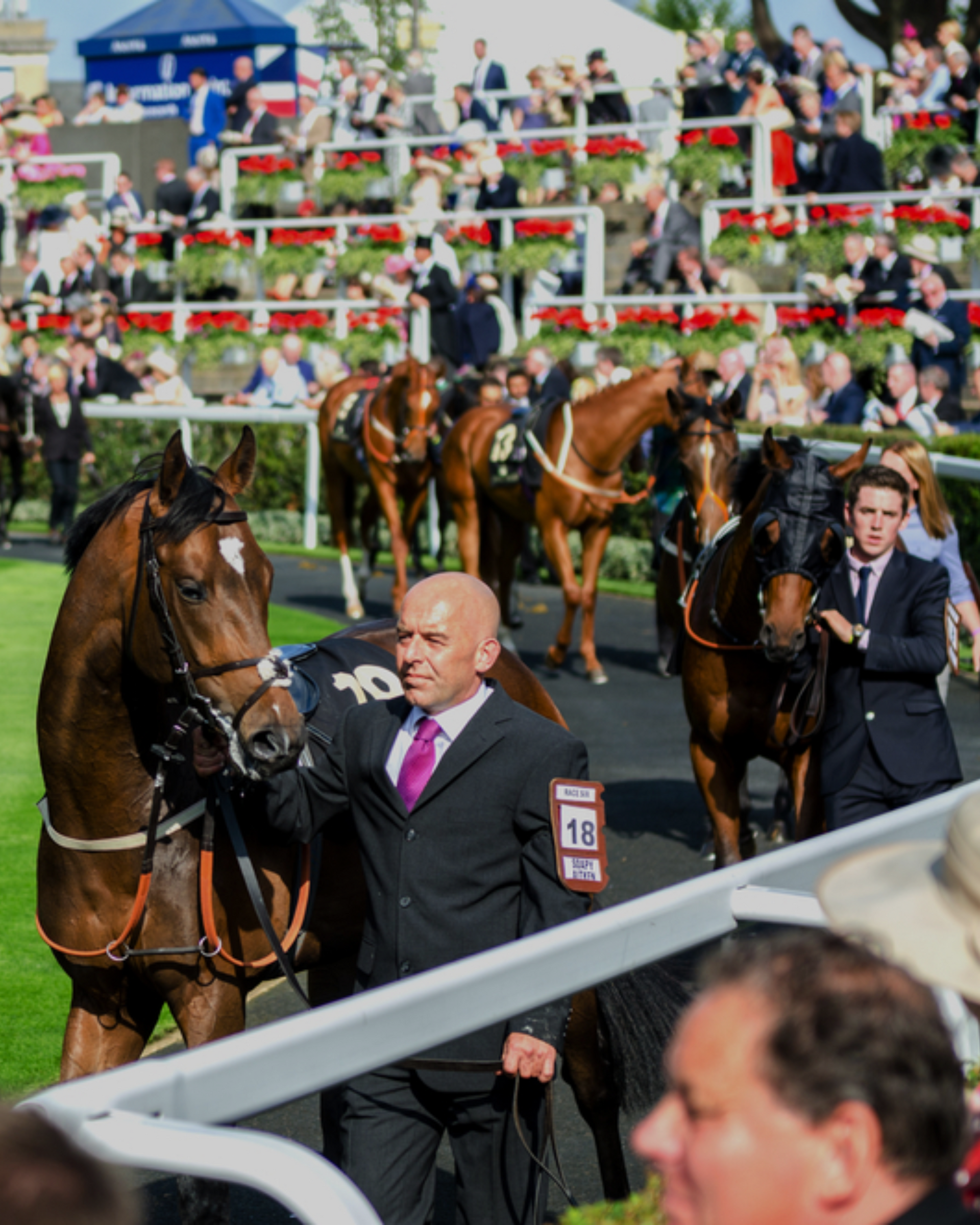 Cheltenham Festival and Royal Ascot Hospitality