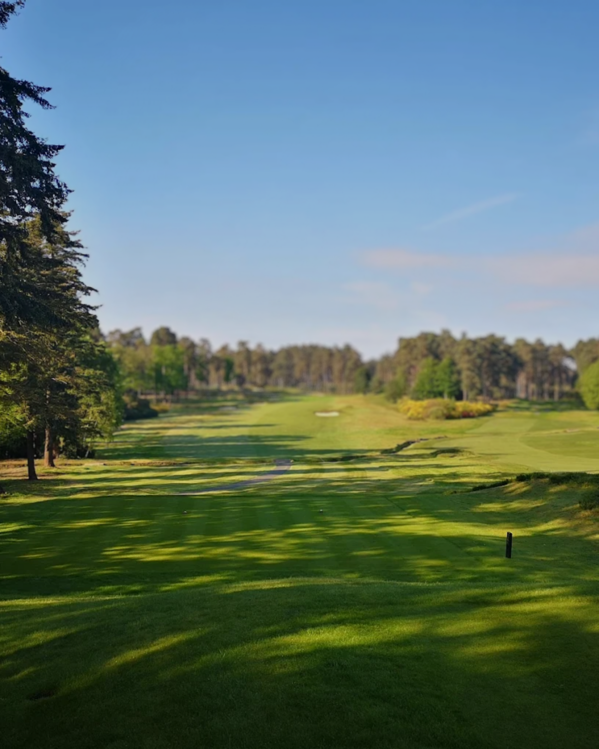 London Ryder Cup: West vs East Golf Event