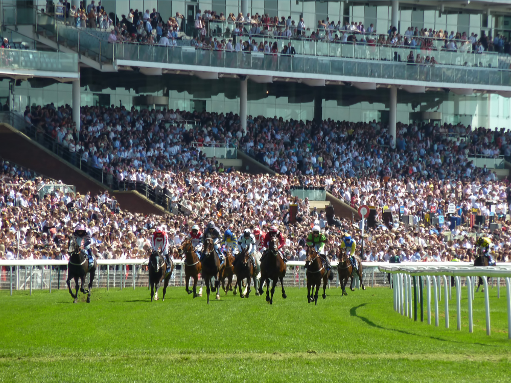 A group of horses are racing on a track in front of a crowd