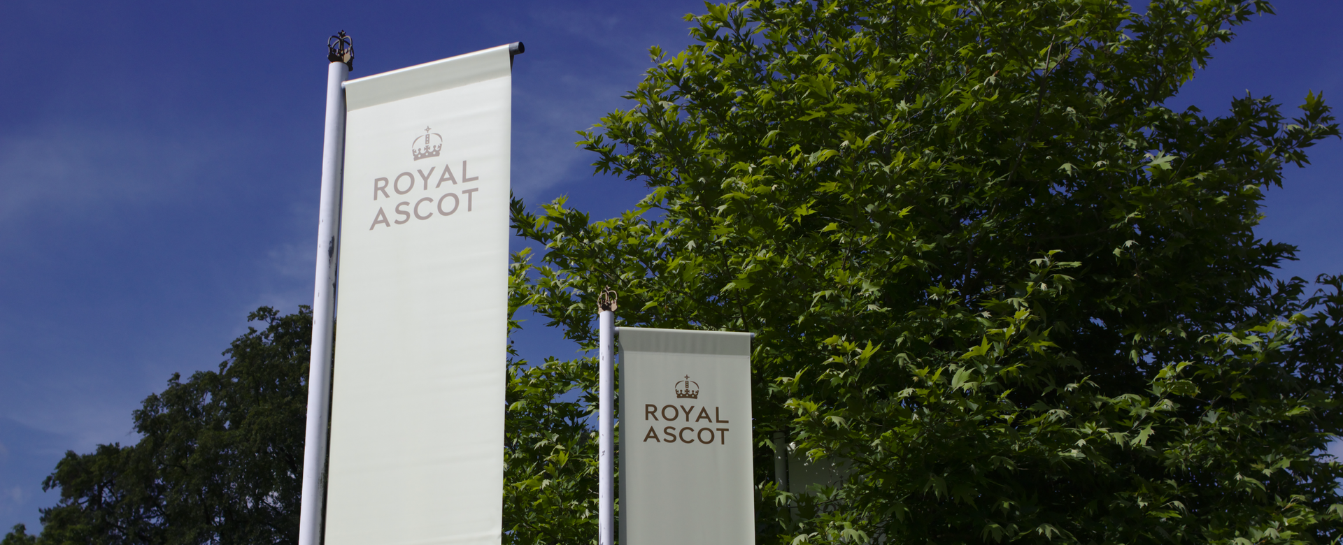 Royal Ascot flags adding an elegant atmosphere to the 2025 Royal Ascot event.
