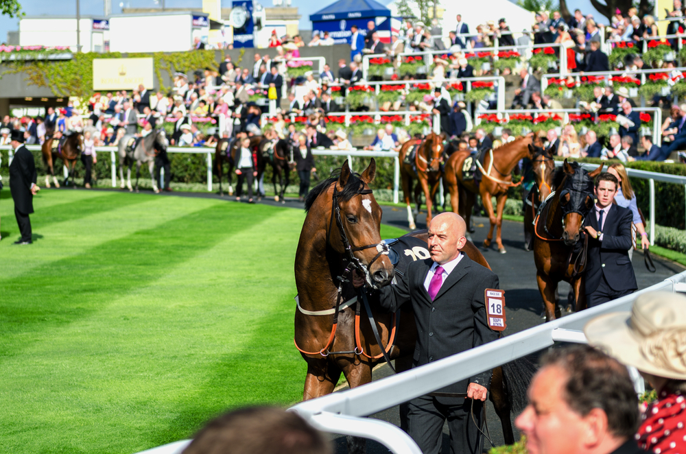 Cheltenham Festival 2027