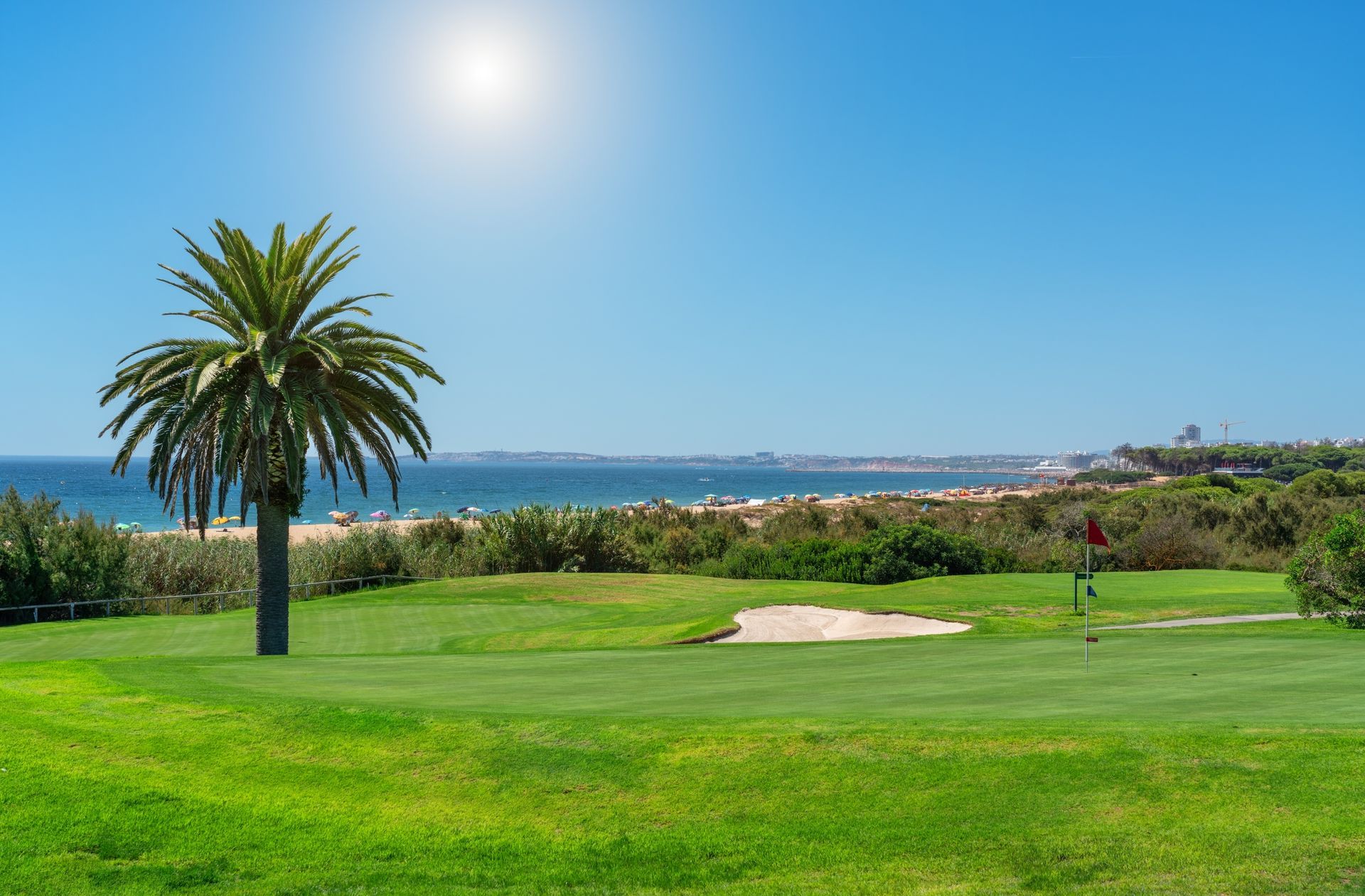 A golf course with a palm tree in the foreground and the ocean in the background.