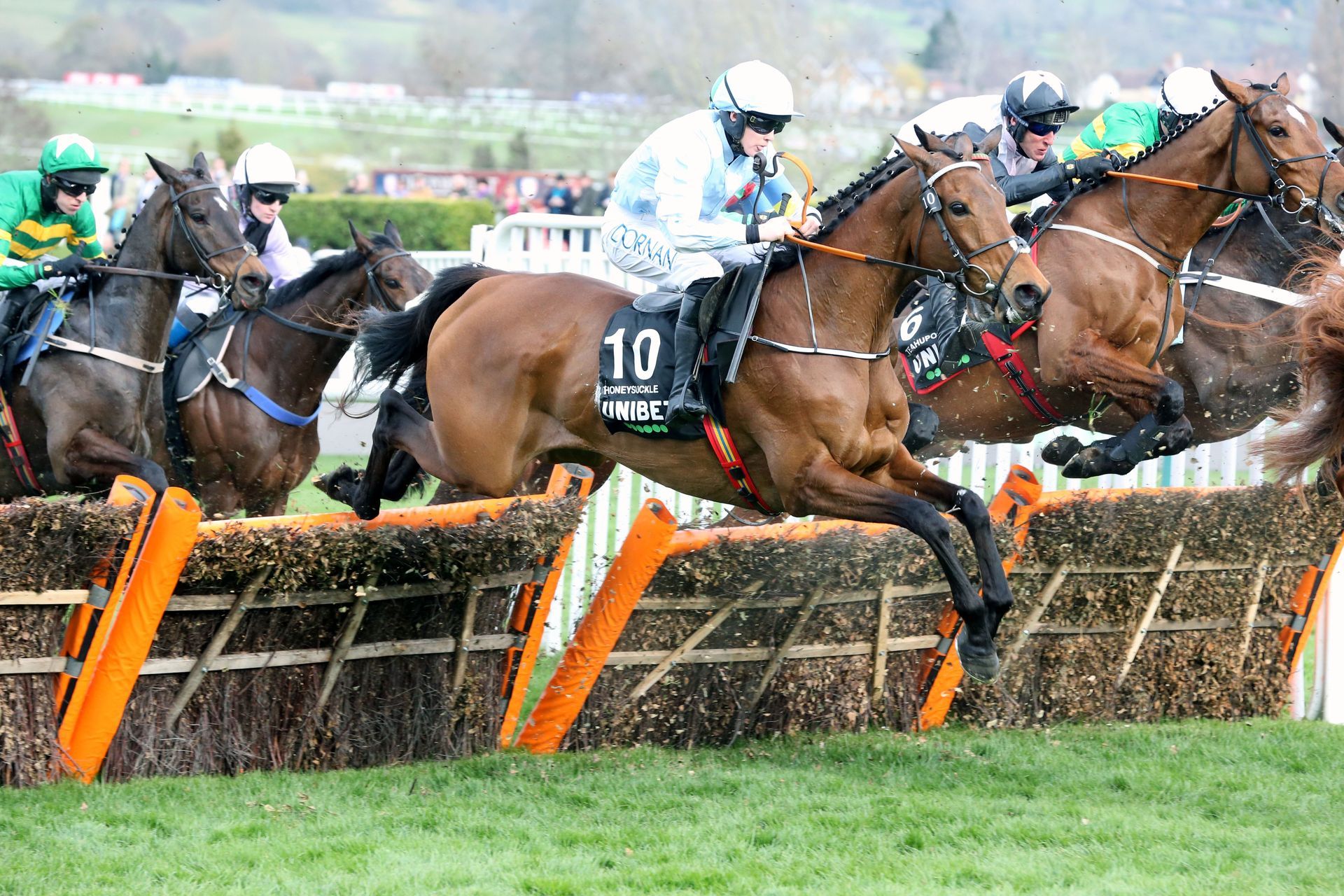 A group of horses are jumping over a fence in a race.