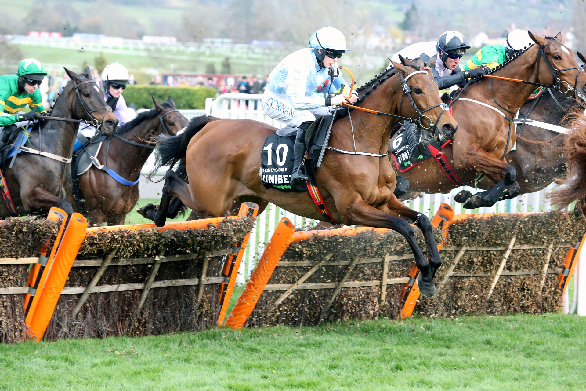 Cheltenham Festival Horse Races