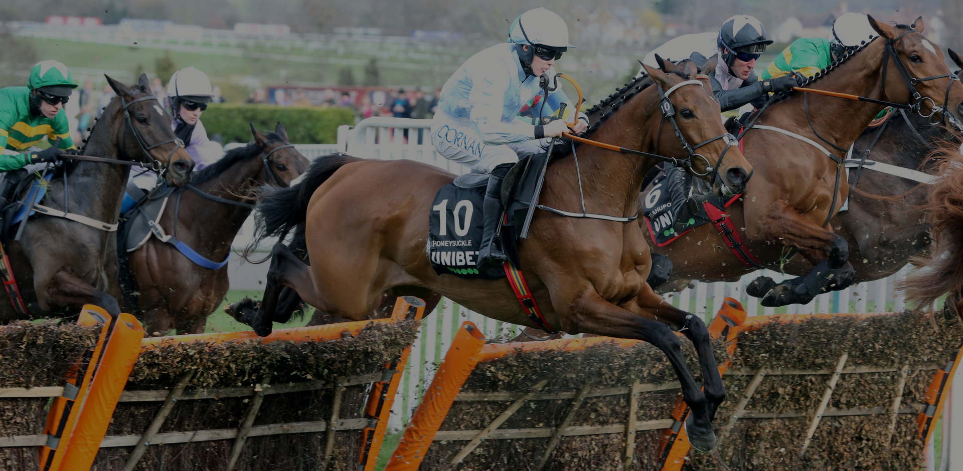 Horses racing on the track at Cheltenham Festival, capturing the excitement and energy of the event.