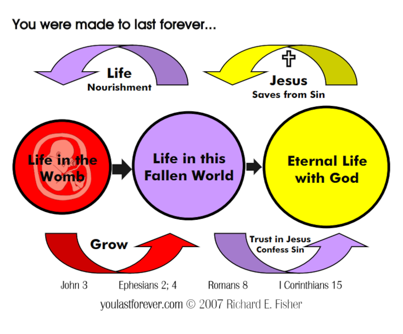 Diagram showing life stages: womb, fallen world, eternal life, with Jesus' role highlighted.