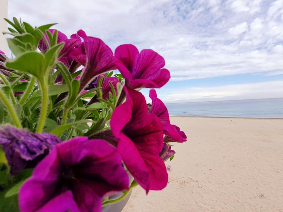 ristorante lido tirreno