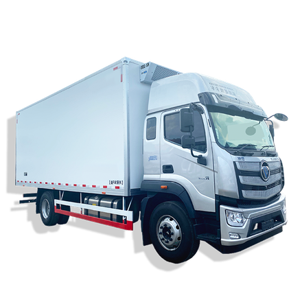  THERMOTRUCK QRO