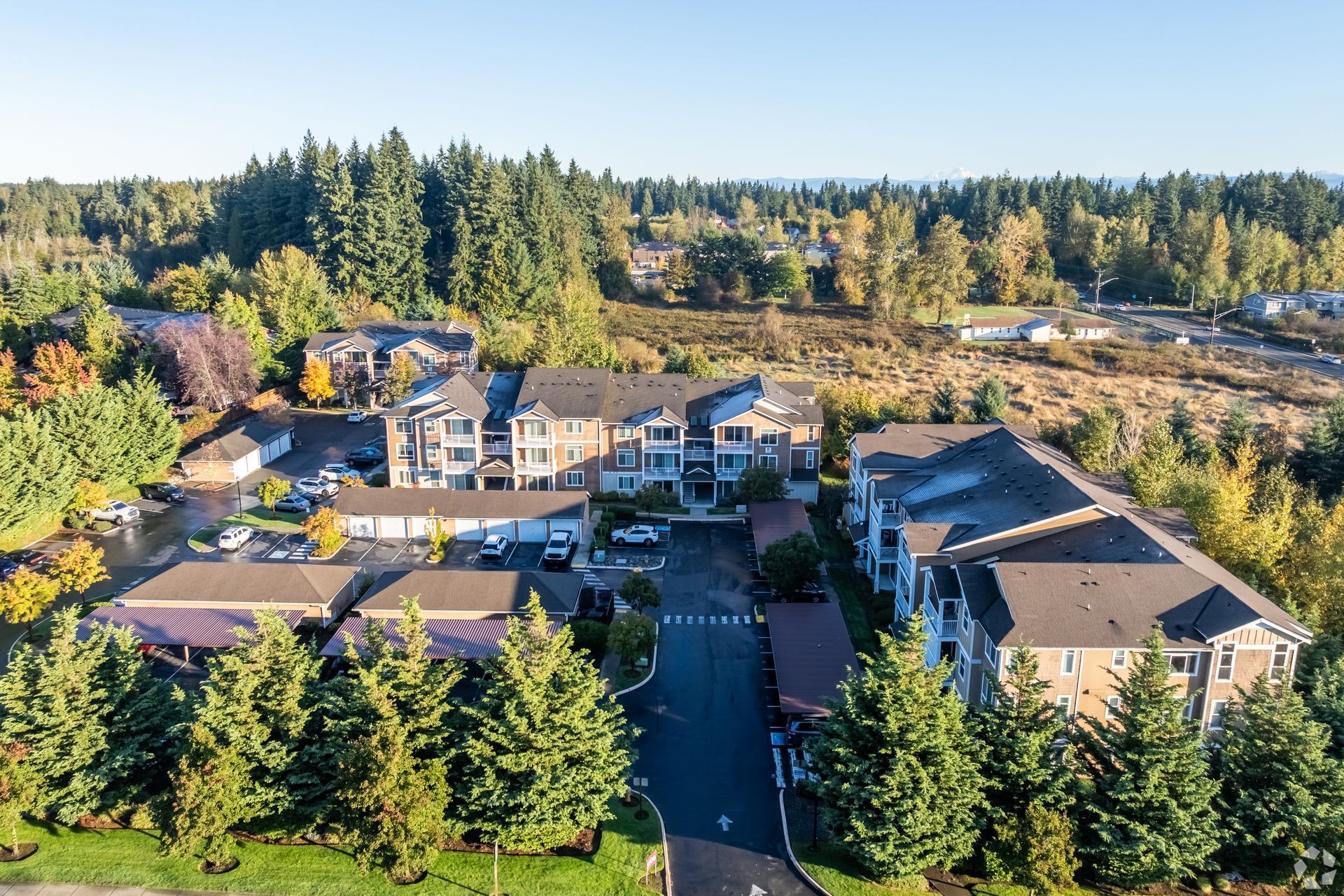 Aerial view of apartment complex with surrounding trees, green grass, and blue sky.