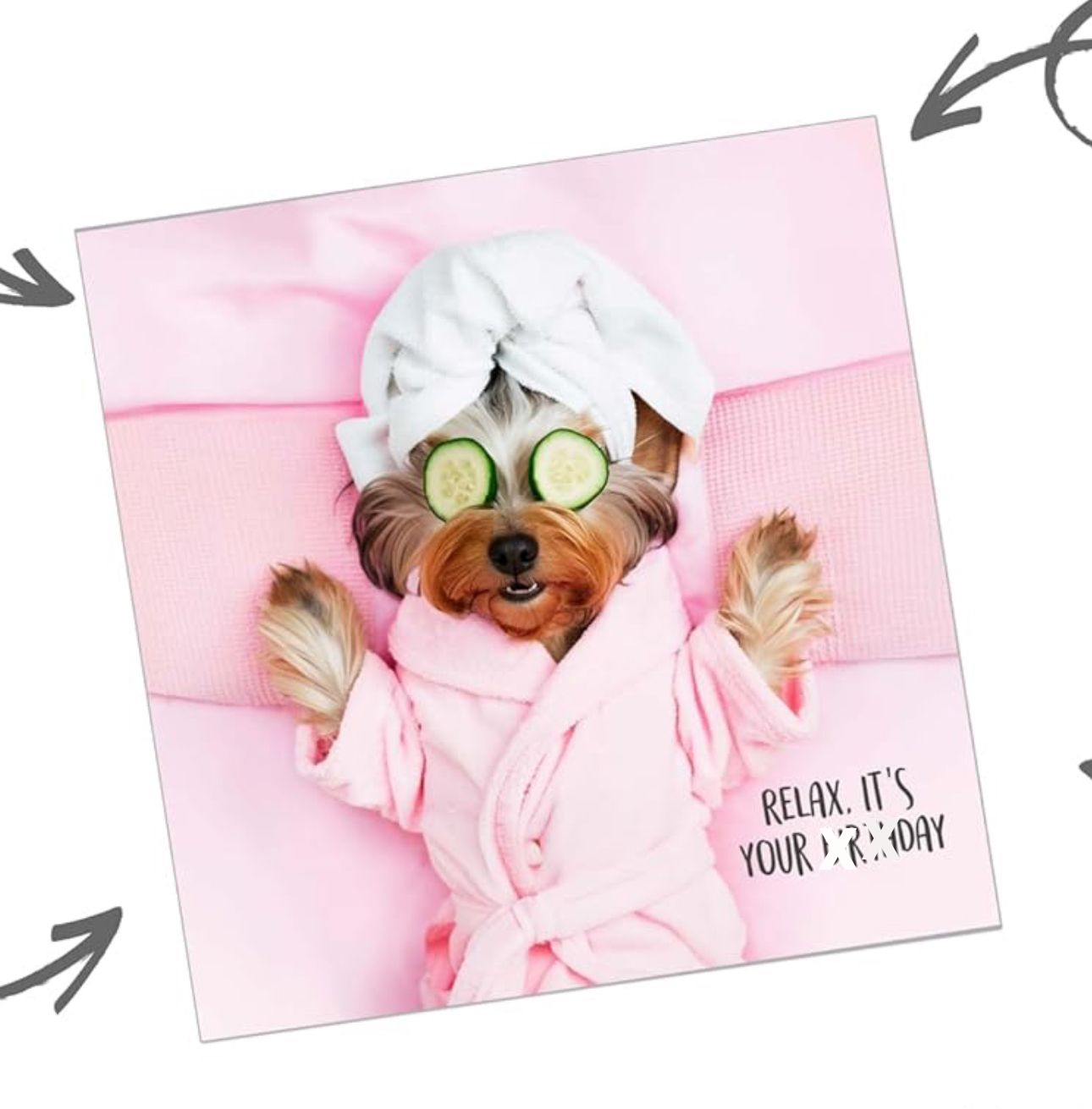 Hondentrimsalon in Zundert voor alle vacht types en probleemvachten. Nageltjes knippen, oortjes vrijmaken.