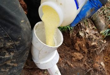 A person in blue gloves pours yellow powder from a container into a white PVC pipe.