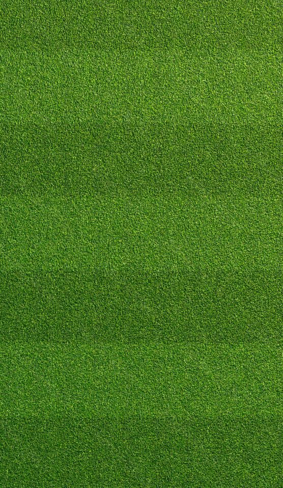 Green grass field with horizontal stripes.