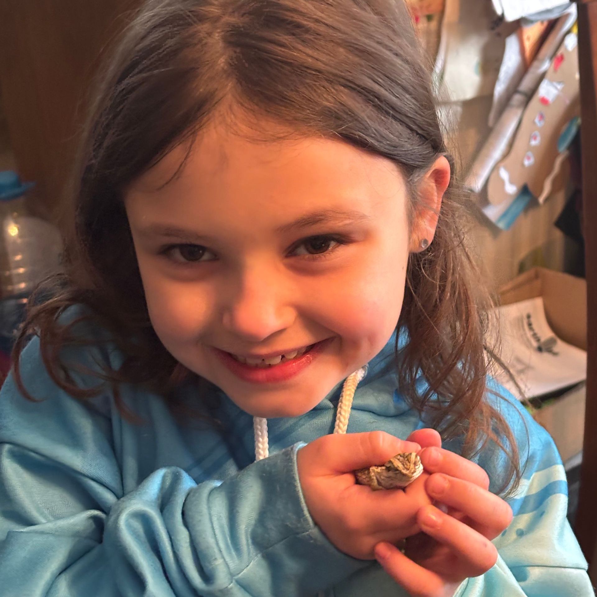 A little girl in a blue shirt is holding a up a lizard for the camera