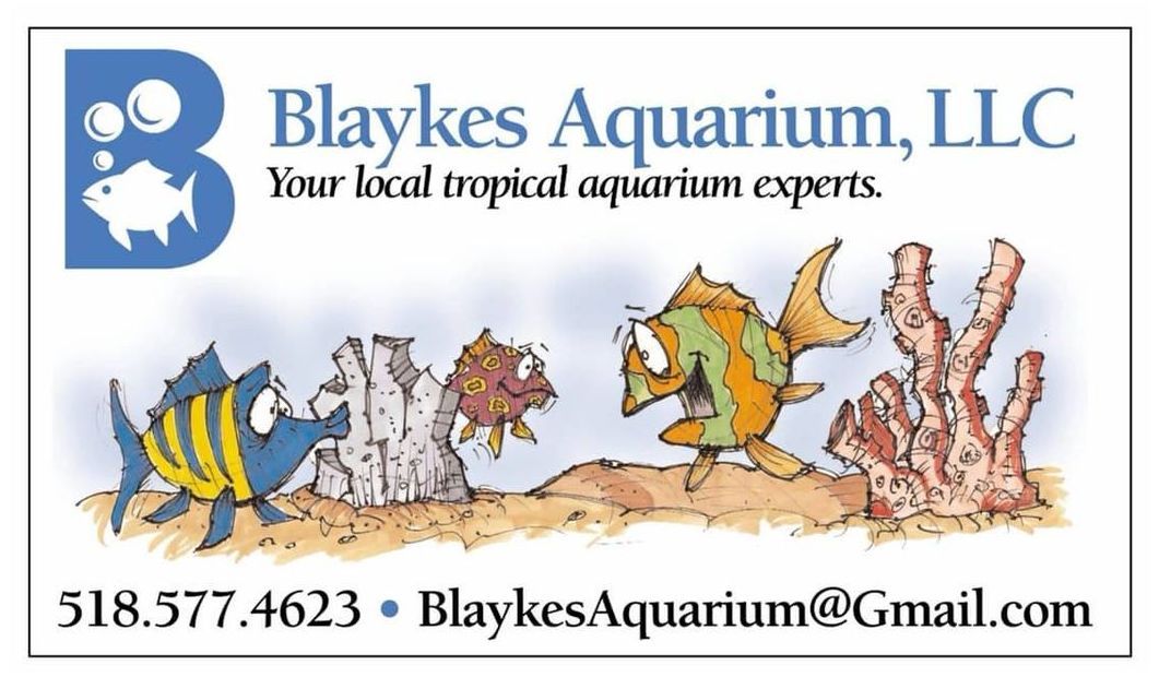 Blaykes Aquarium Logo