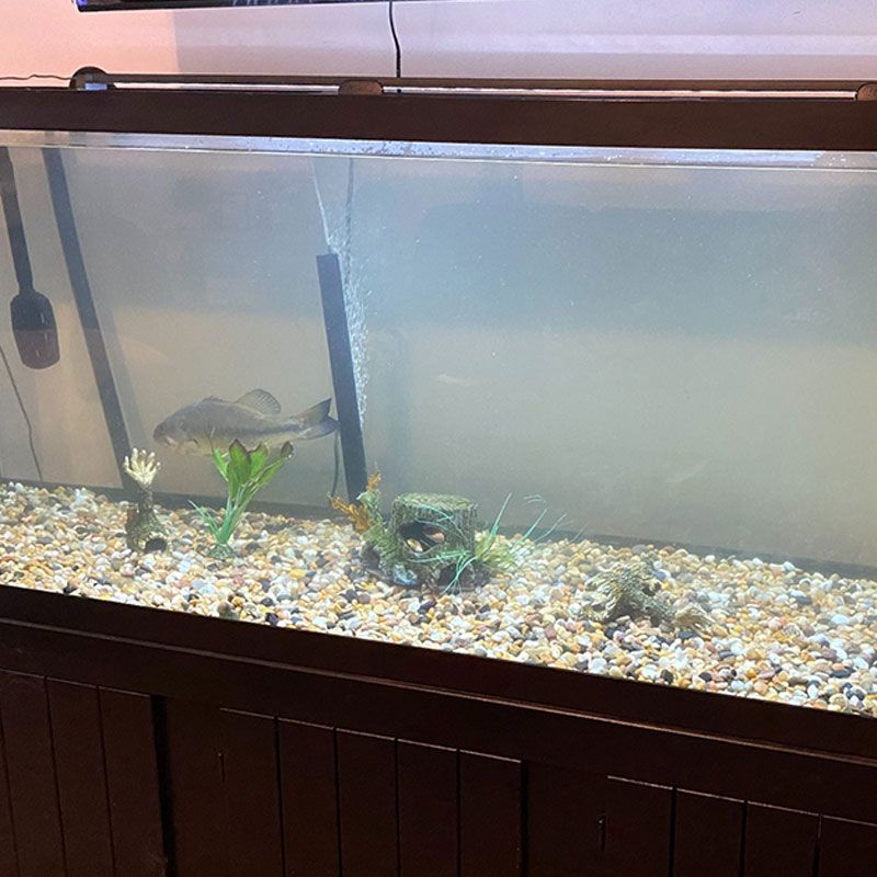 Aquarium Cleaning & Upgrades