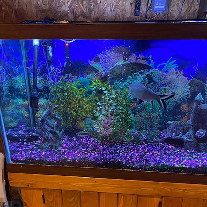 Top-Notch Customer Service