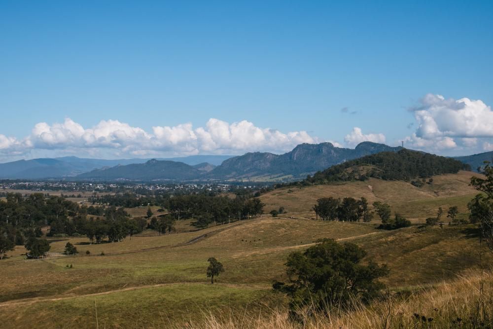 A View of a Grassy Hillside With Mountains in the Background on a Sunny Day — Floret In Wollongbar, NSW