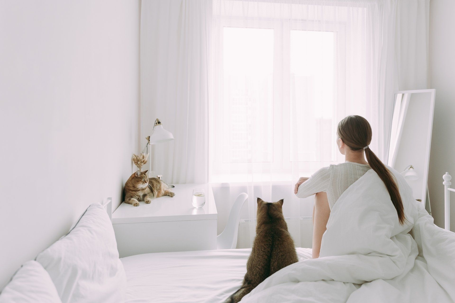 Girl with cats in the bed looking at the morning light.
