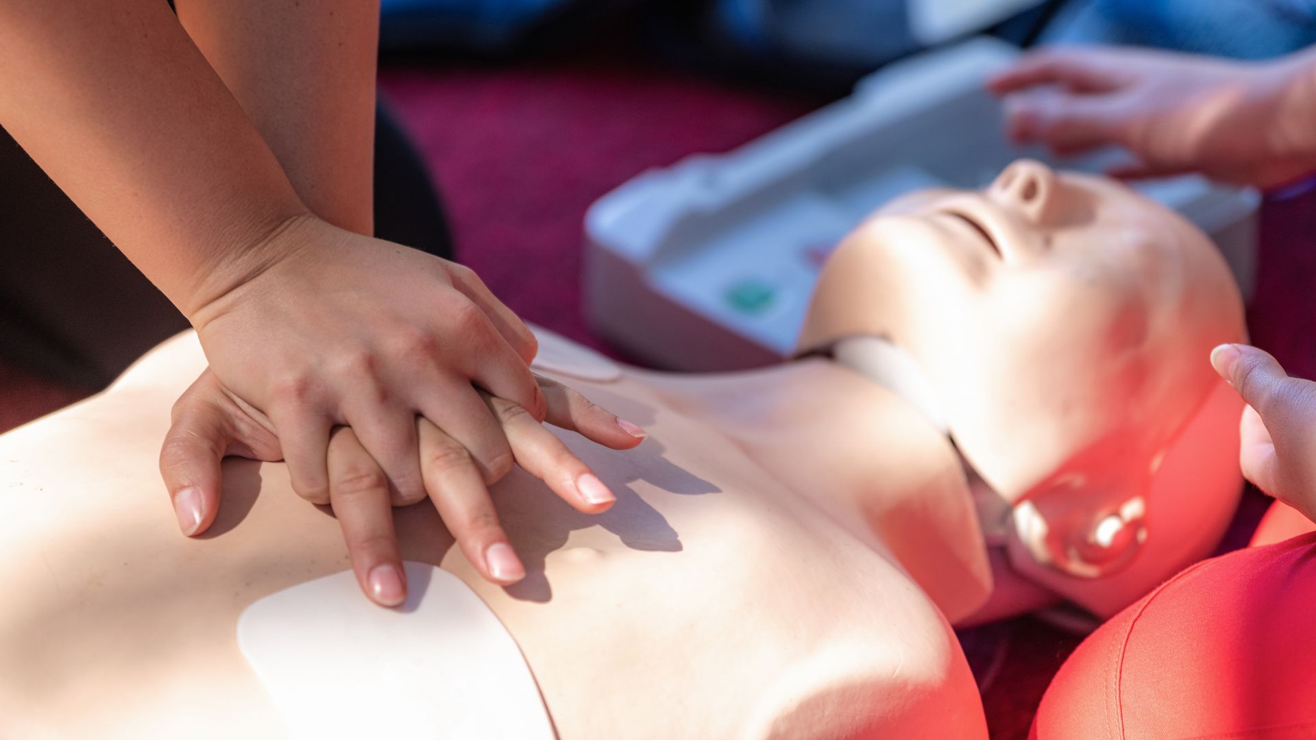 Close-up of a person's hand providing first aid on a CPR dummy, for CPR training.