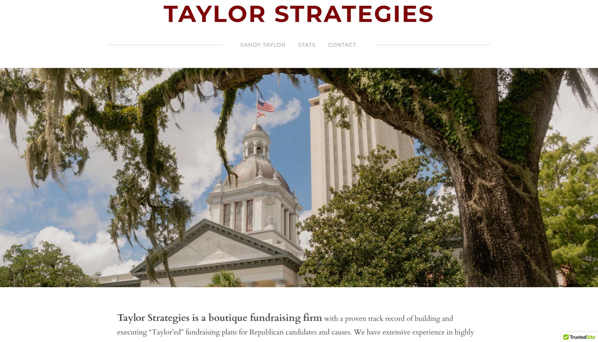 Taylor Strategies landing page