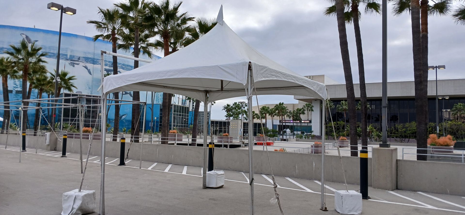 A white tent is sitting in the middle of a parking lot next to palm trees.