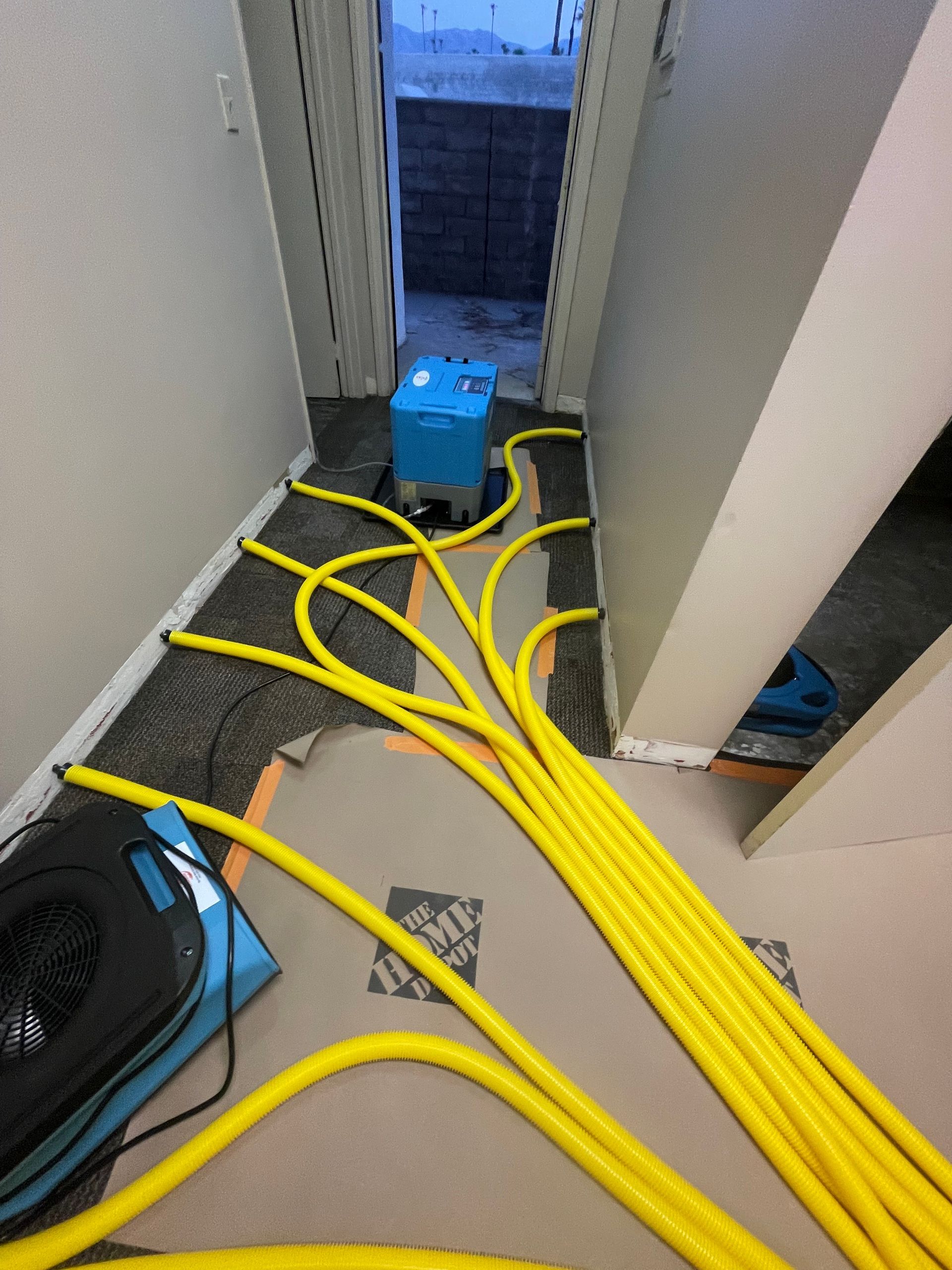 A bunch of yellow hoses are laying on the floor