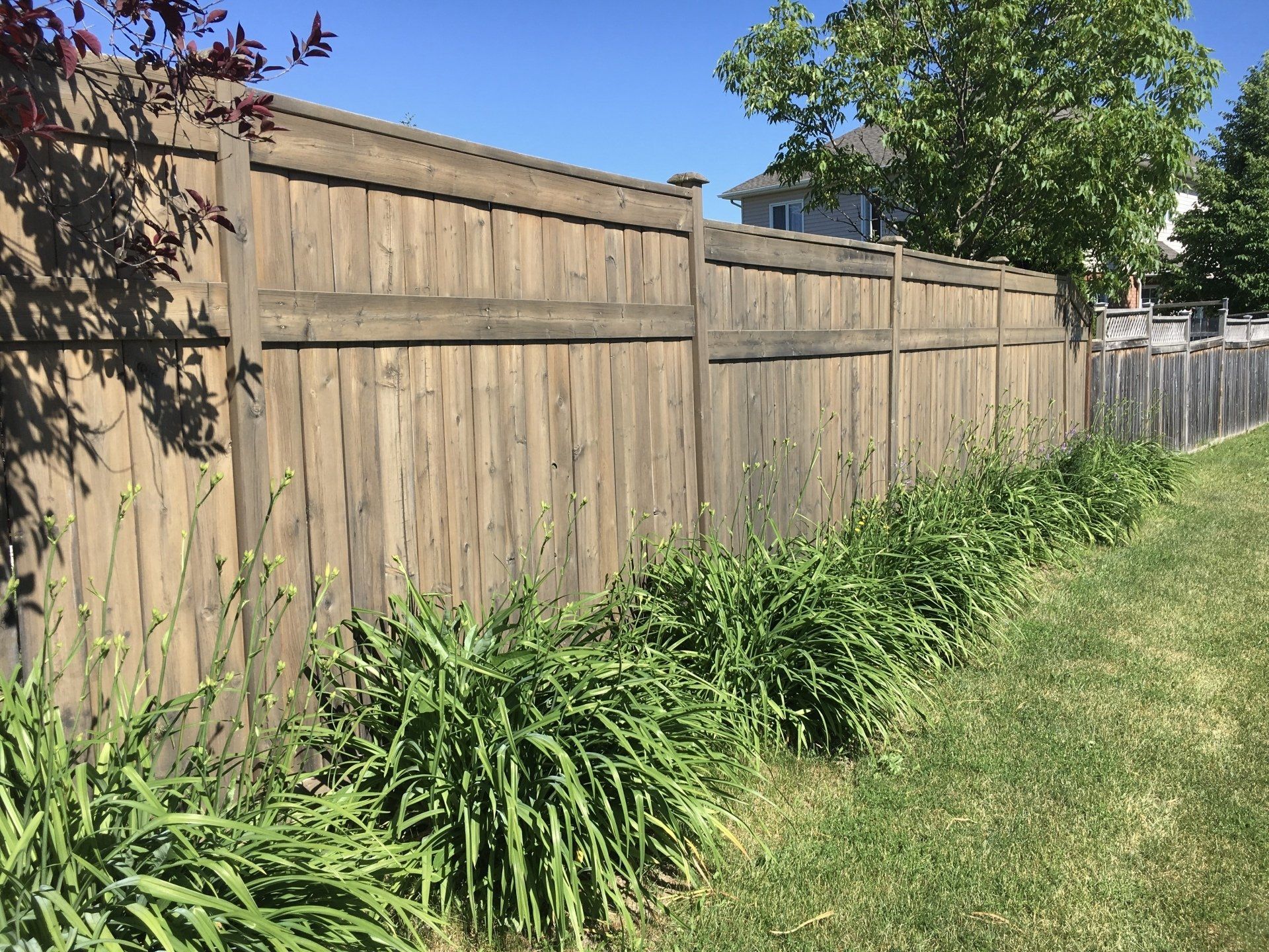 Deck stained with cedar semi transparent stain
