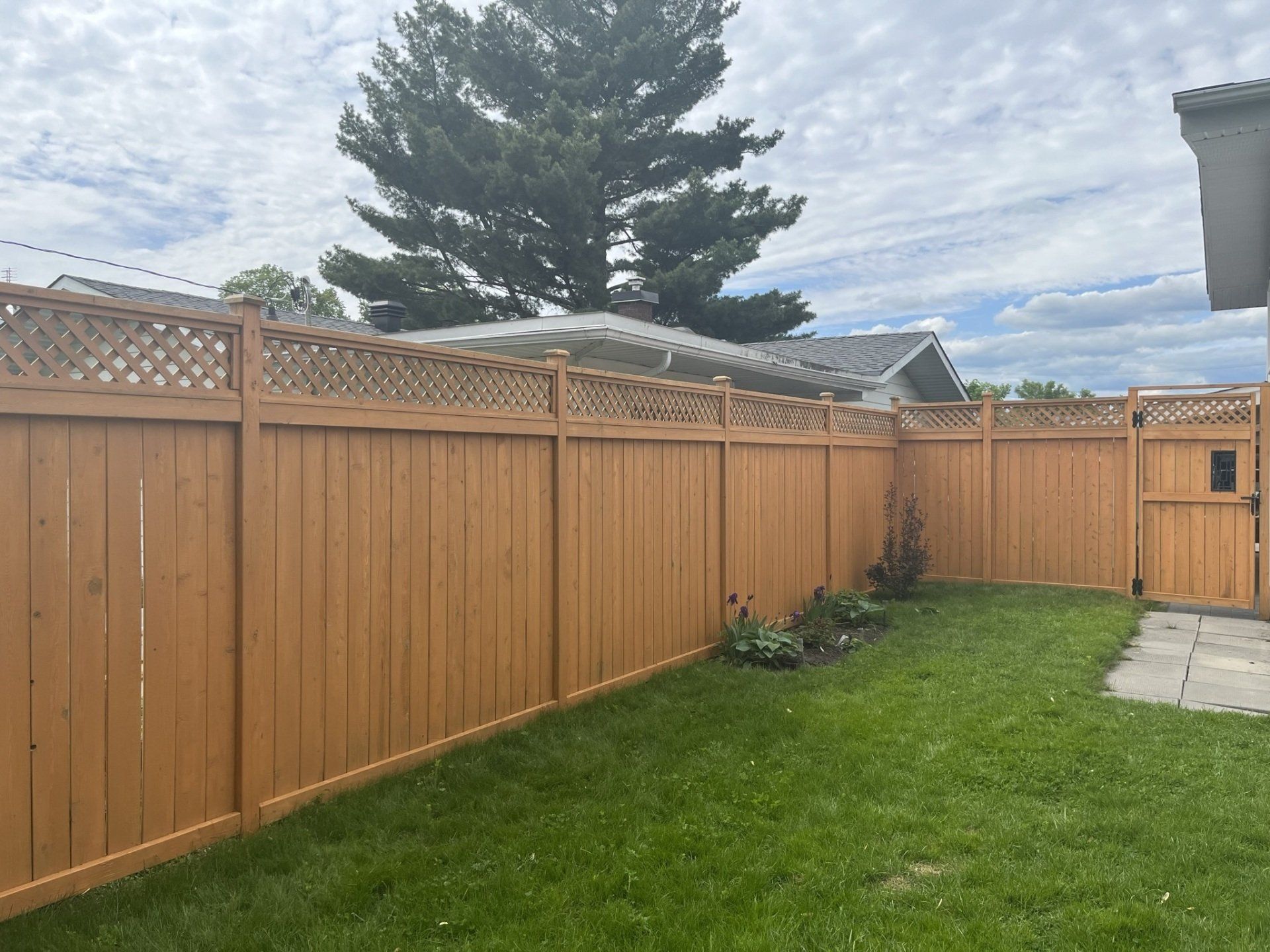 A Stained fence - Cedar semi transparent