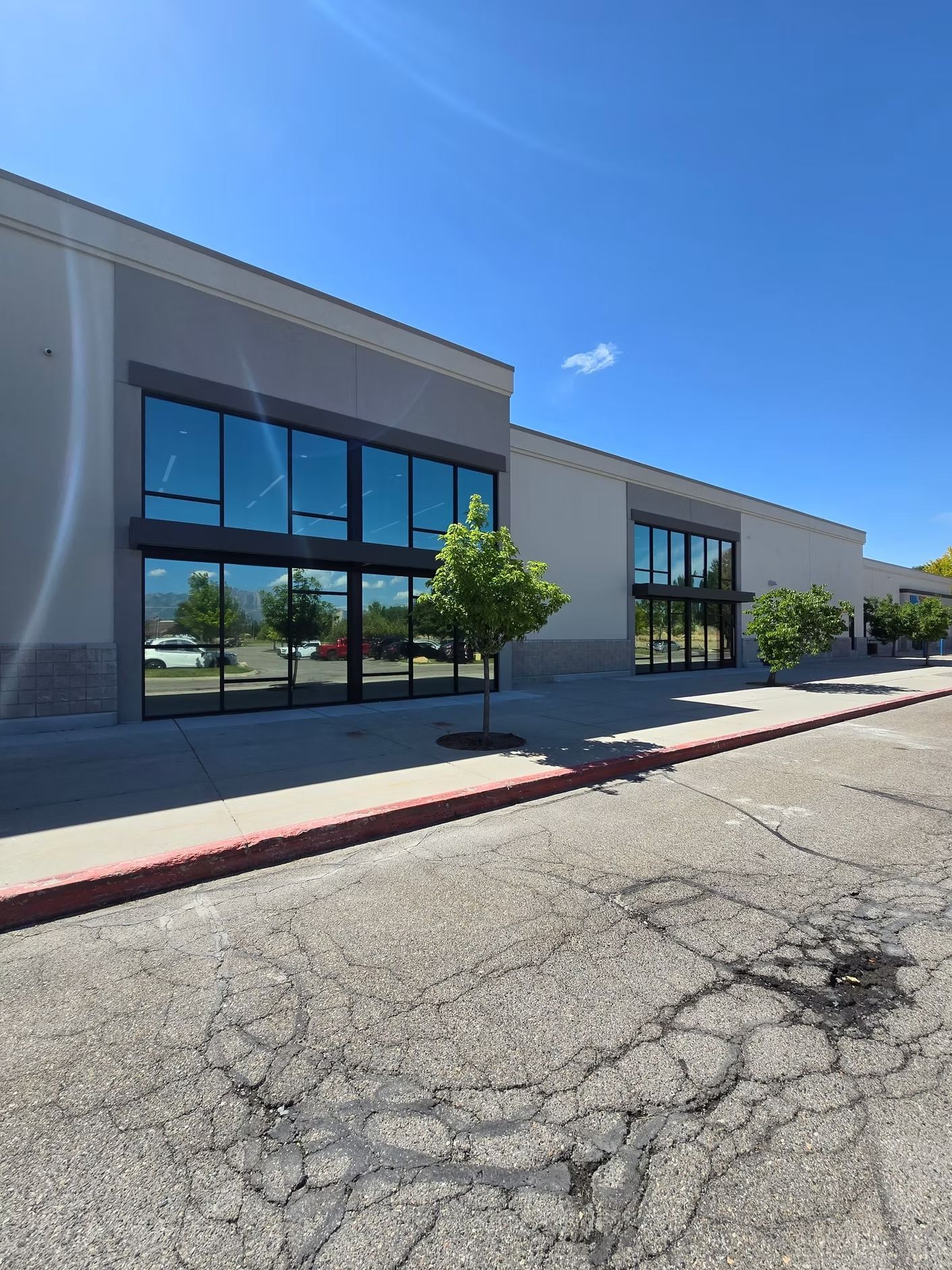 Exterior view of a commercial building with large windows reflecting blue sky and a small tree in front.