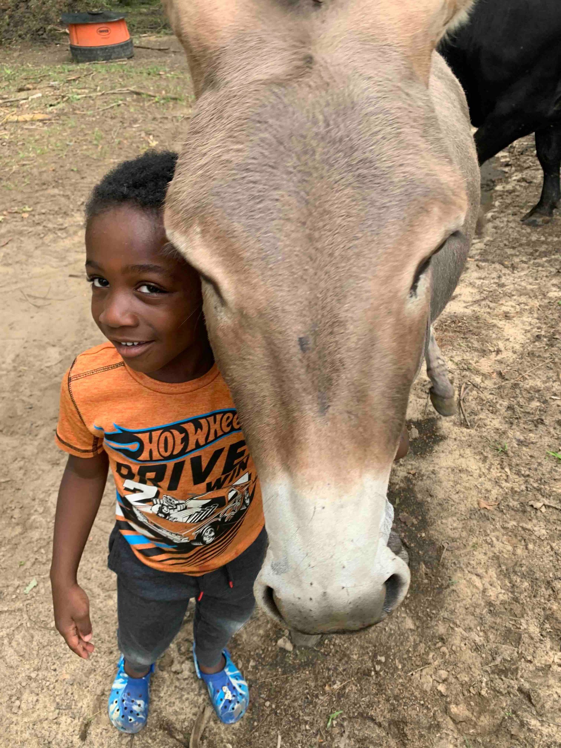 A young boy is standing next to a donkey.