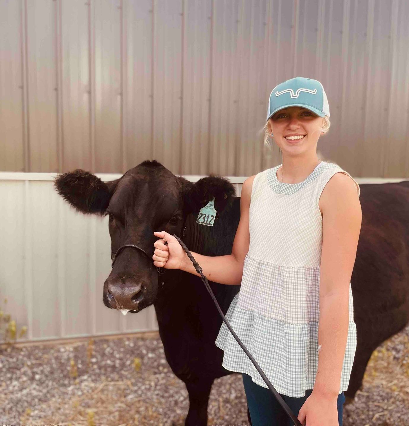A woman is standing next to a black cow on a leash.