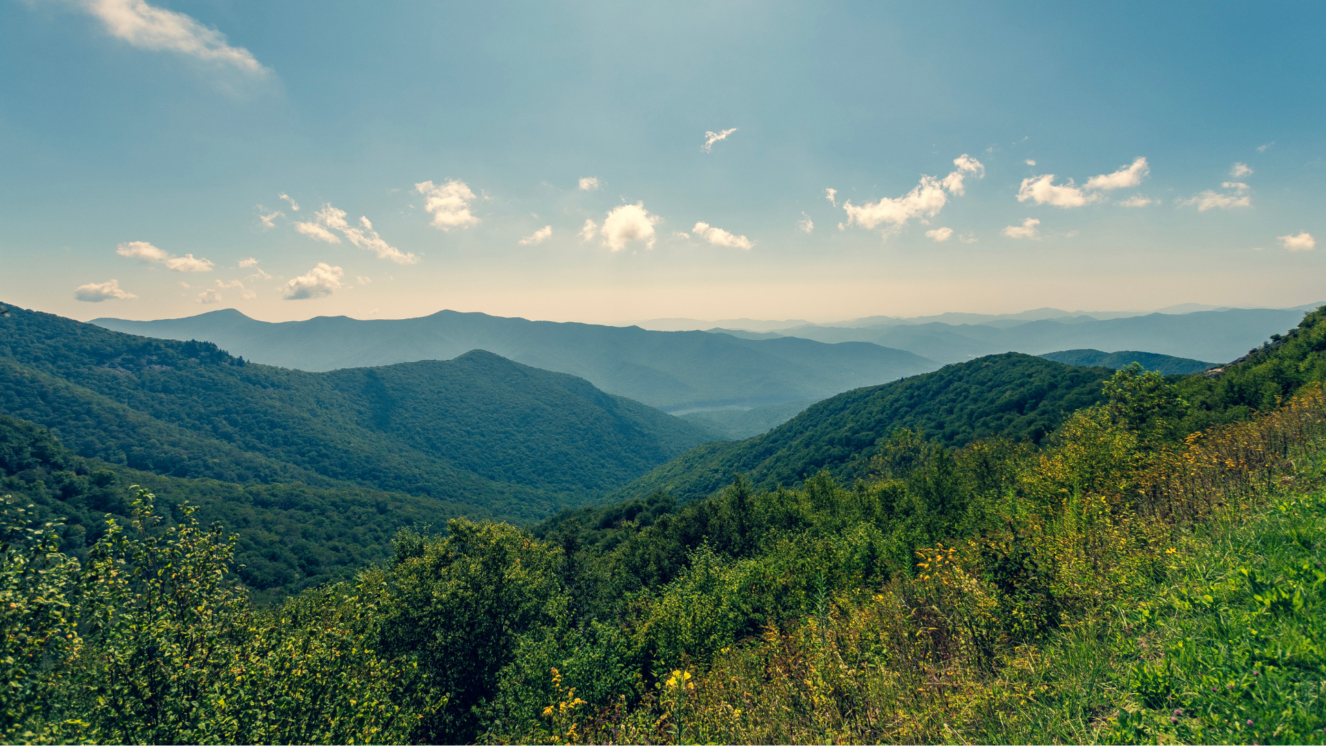 Appalachian Mountain range under a partly cloudy blue sky, with lush green foliage in the foreground.