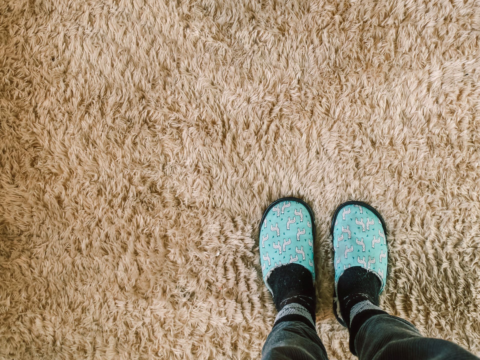 las piernas de una persona están en una alfombra con pantuflas .