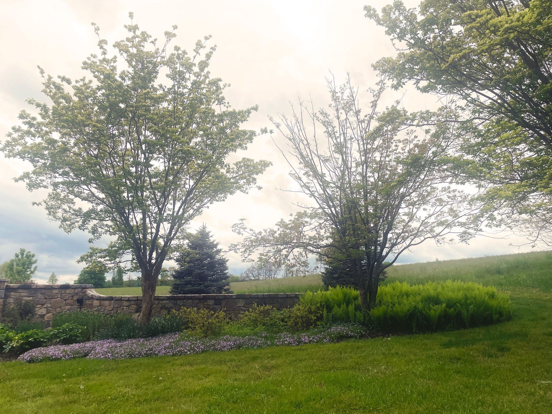 A Garden with Trees on Land — Kennett Square, PA — Classic Lawns