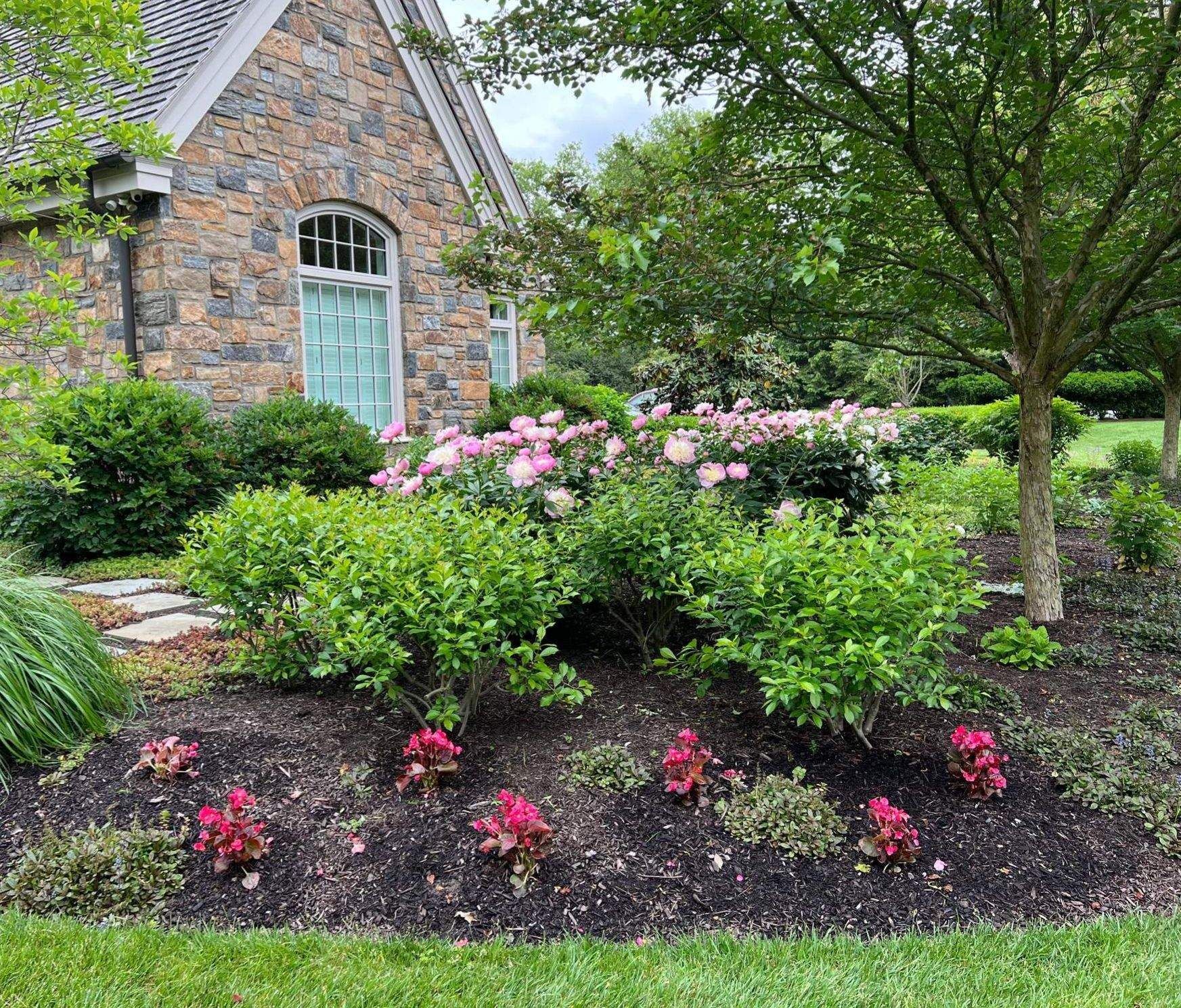 A Garden with Trees and Bushes in Front of a House — Kennett Square, PA — Classic Lawns
