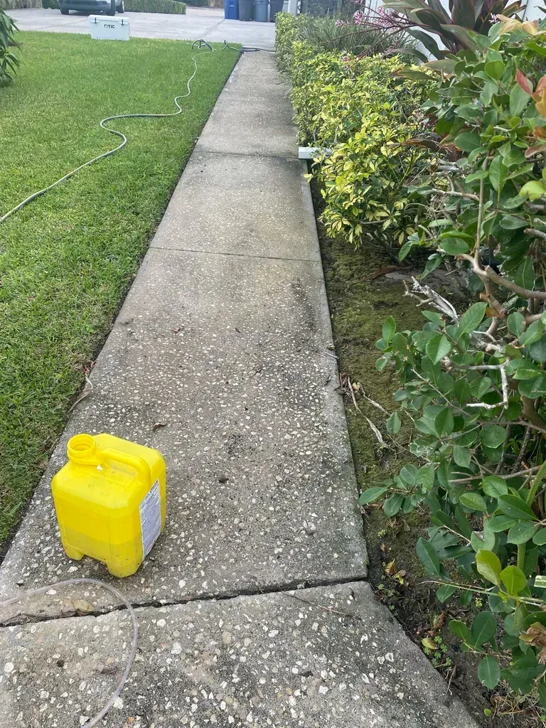 Sidewalk with yellow container, green grass, and bushes.