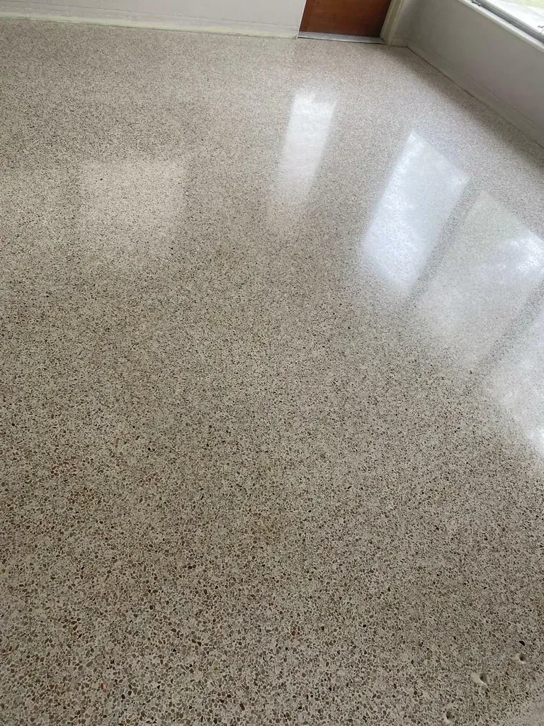 Polished terrazzo floor with varied speckled aggregate, reflecting light in a room with a window.