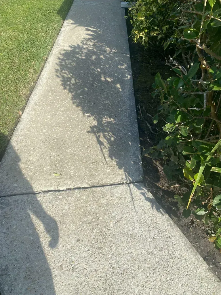 Concrete sidewalk next to grass and bushes; shadow of tree branches across the path.