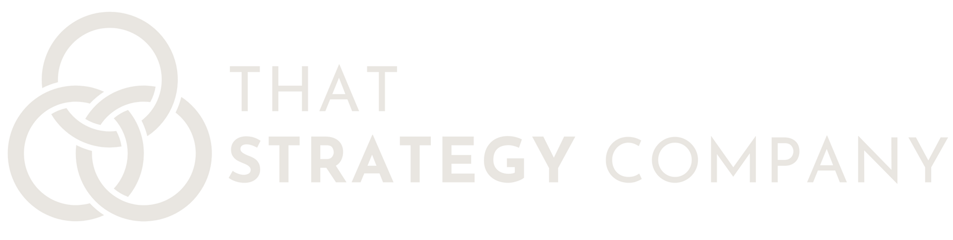 That Strategy Company