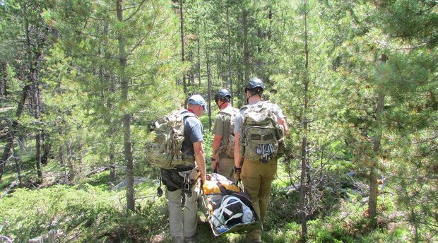 A group of men are walking through a forest carrying a stretcher.