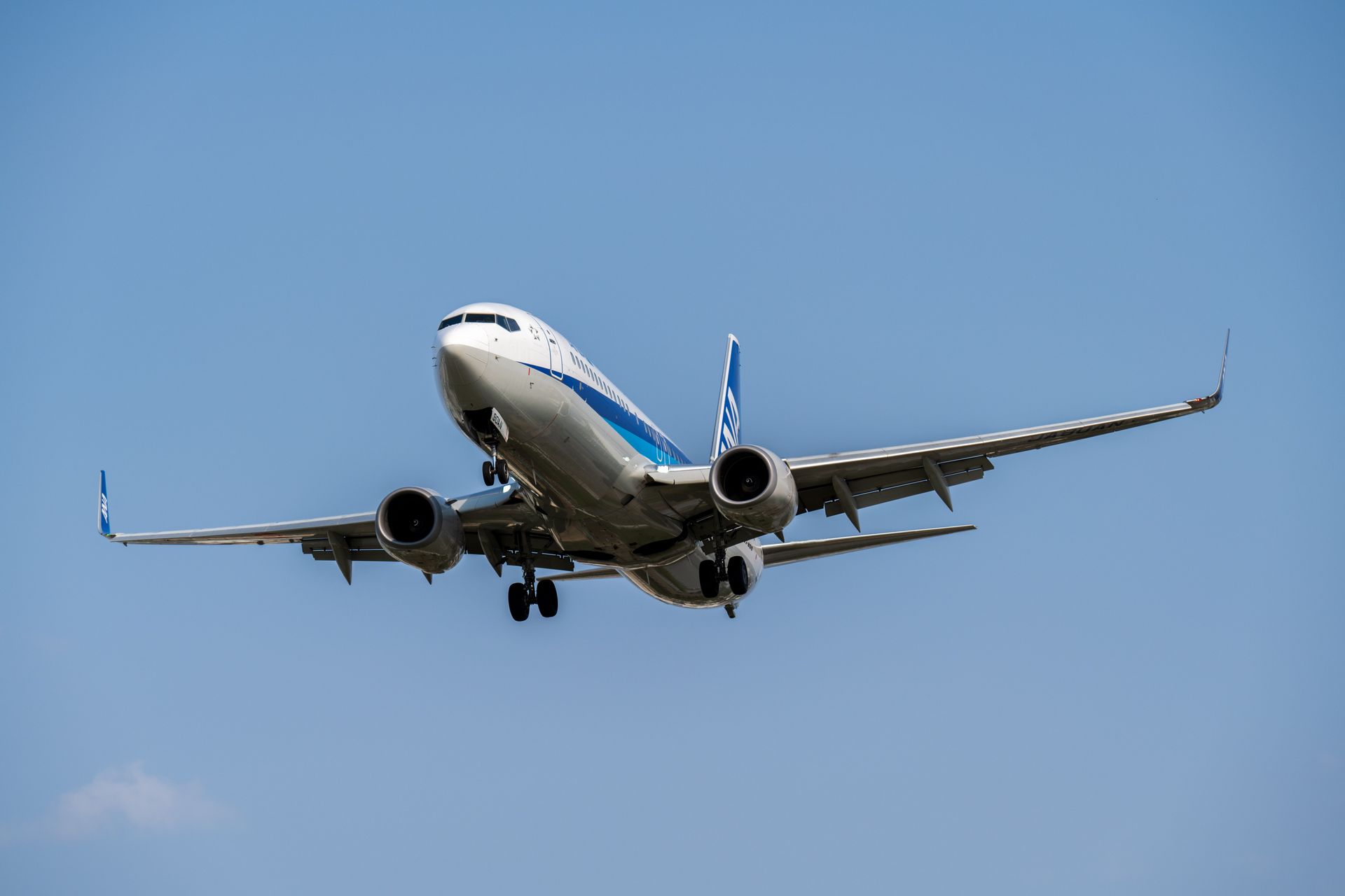 Moving and Handling on Holiday: Making Travel Possible