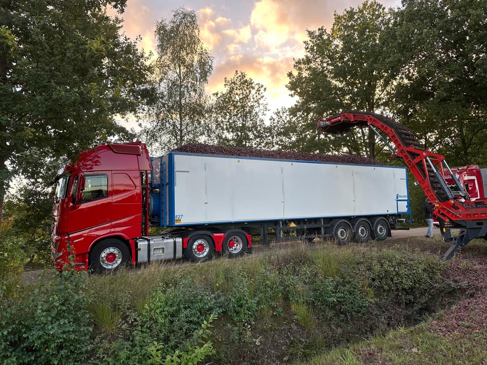 Een rode vrachtwagen wordt geladen met een bruine lading in een bosrijk gebied, laat in de middag.