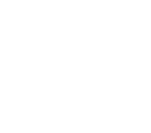 Brain illustration for Jenna Hendricksen, NYC psyhotherapist.