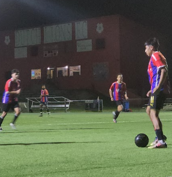 A person wearing a hat and orange shirt, holding a baseball bat on their shoulder on a baseball field.