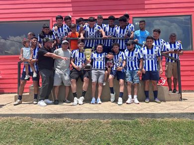 Baseball glove with ball on green grass, with blurred baseballs in the background.