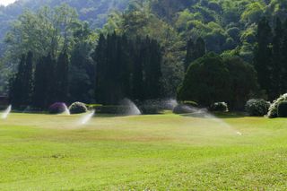 Sprinkler on garden - Lawn Care Sprinklers, Lawn Care Sprinklers repair, Sprinklers, Automatic Lawn Sprinklers, Lawn Sprinklers, Sprinklers repair in Shalimar, FL