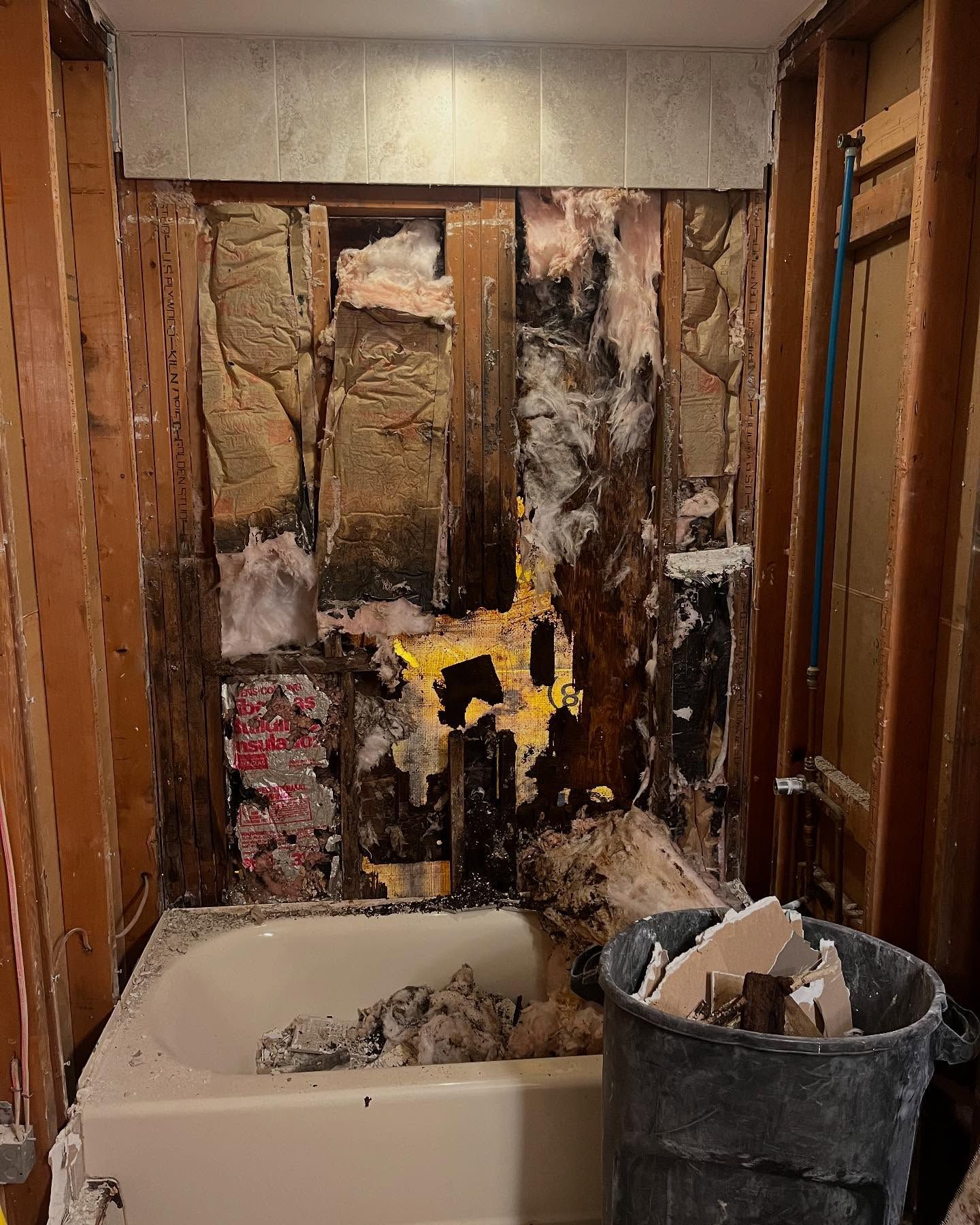 Bathroom wall in disrepair; mold and water damage is visible with a tub and debris bucket below.