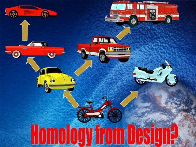 Homology illustration using motor vehicles