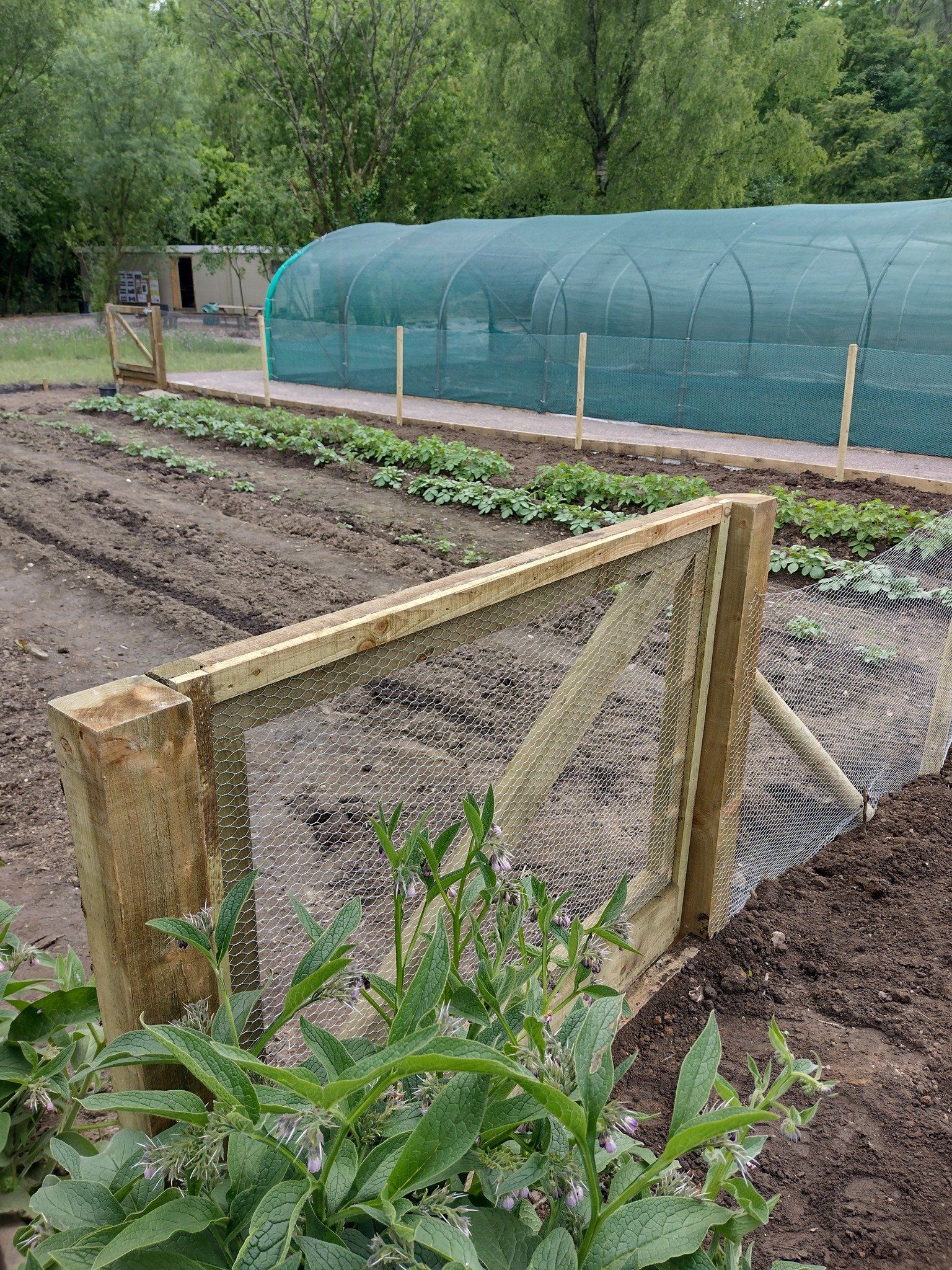 Meadow Street Community Garden and Woodland in Treforest, Pontypridd